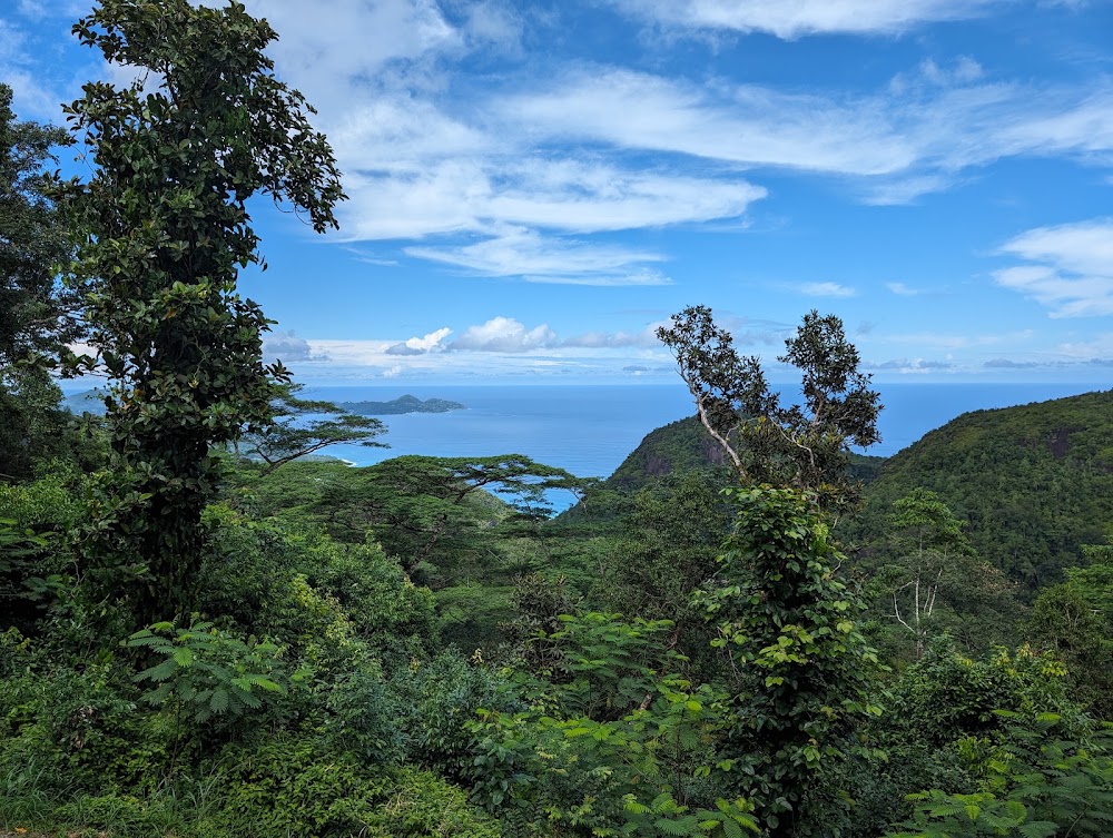 Morne Seychellois National Park photo 3