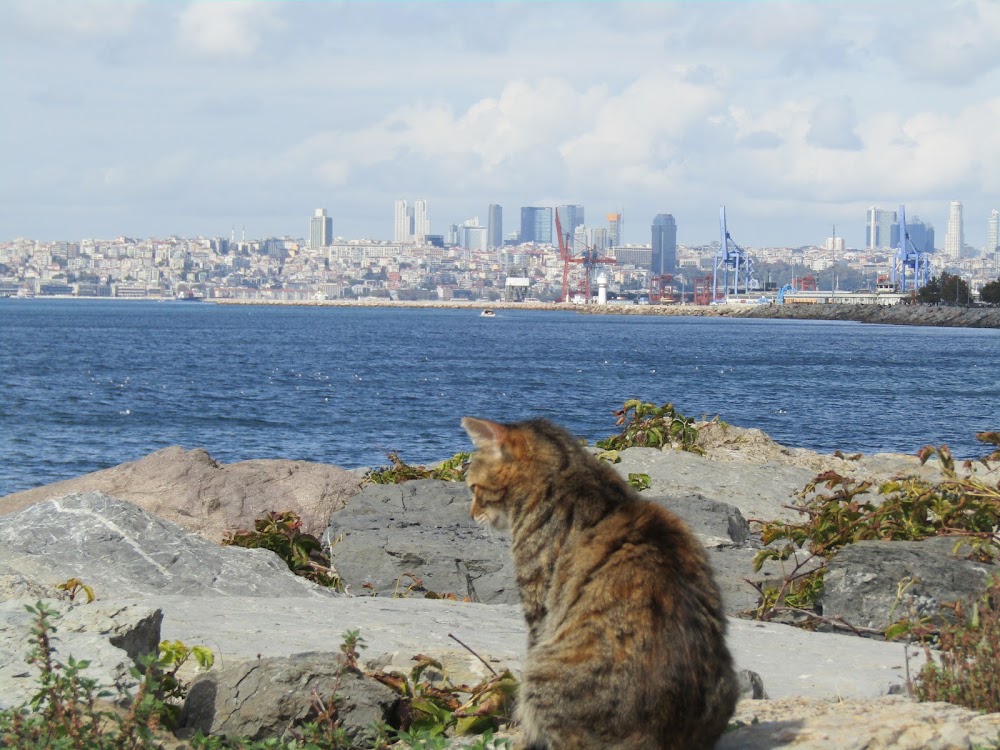 Kadıköy