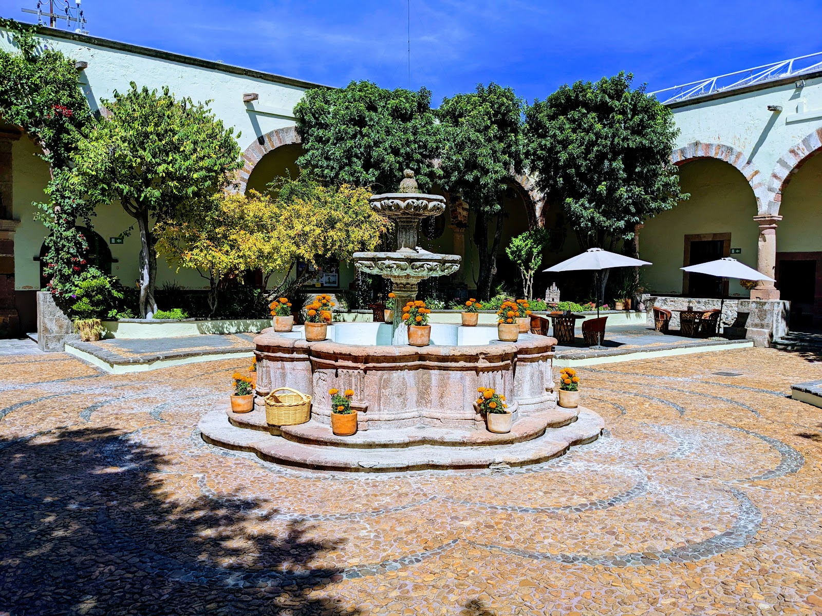 Instituto Allende