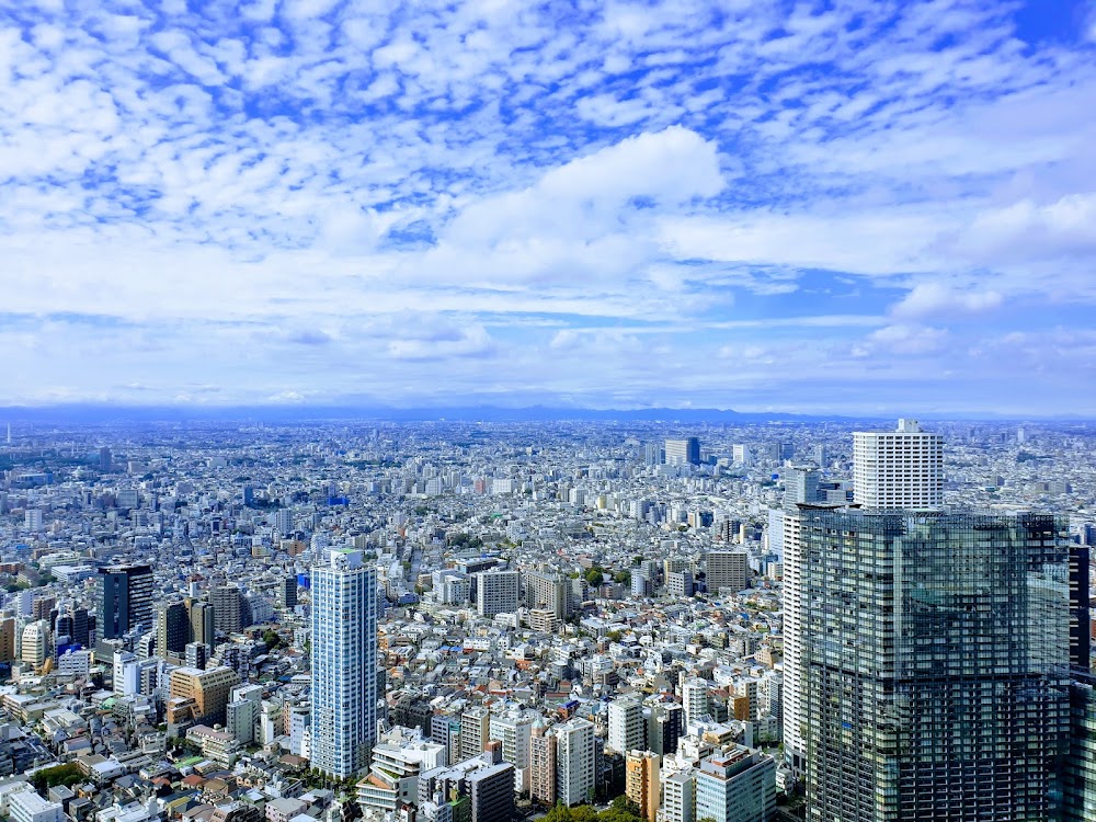 Tokyo Metropolitan Government Building Observation Deck photo 2