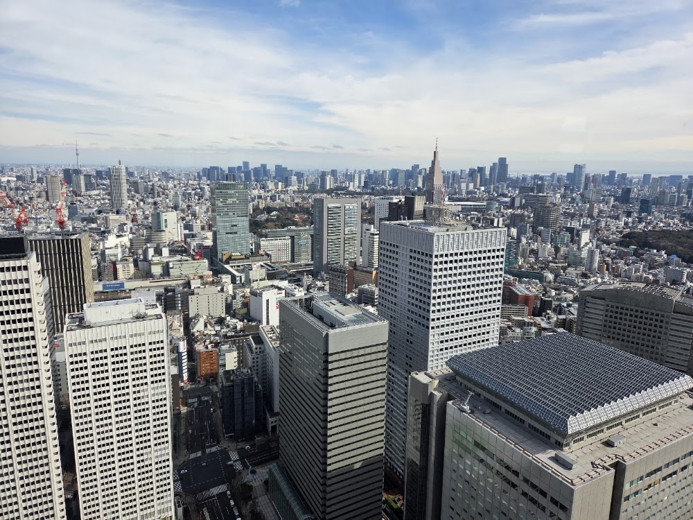 Tokyo Metropolitan Government Building Observation Deck photo 3