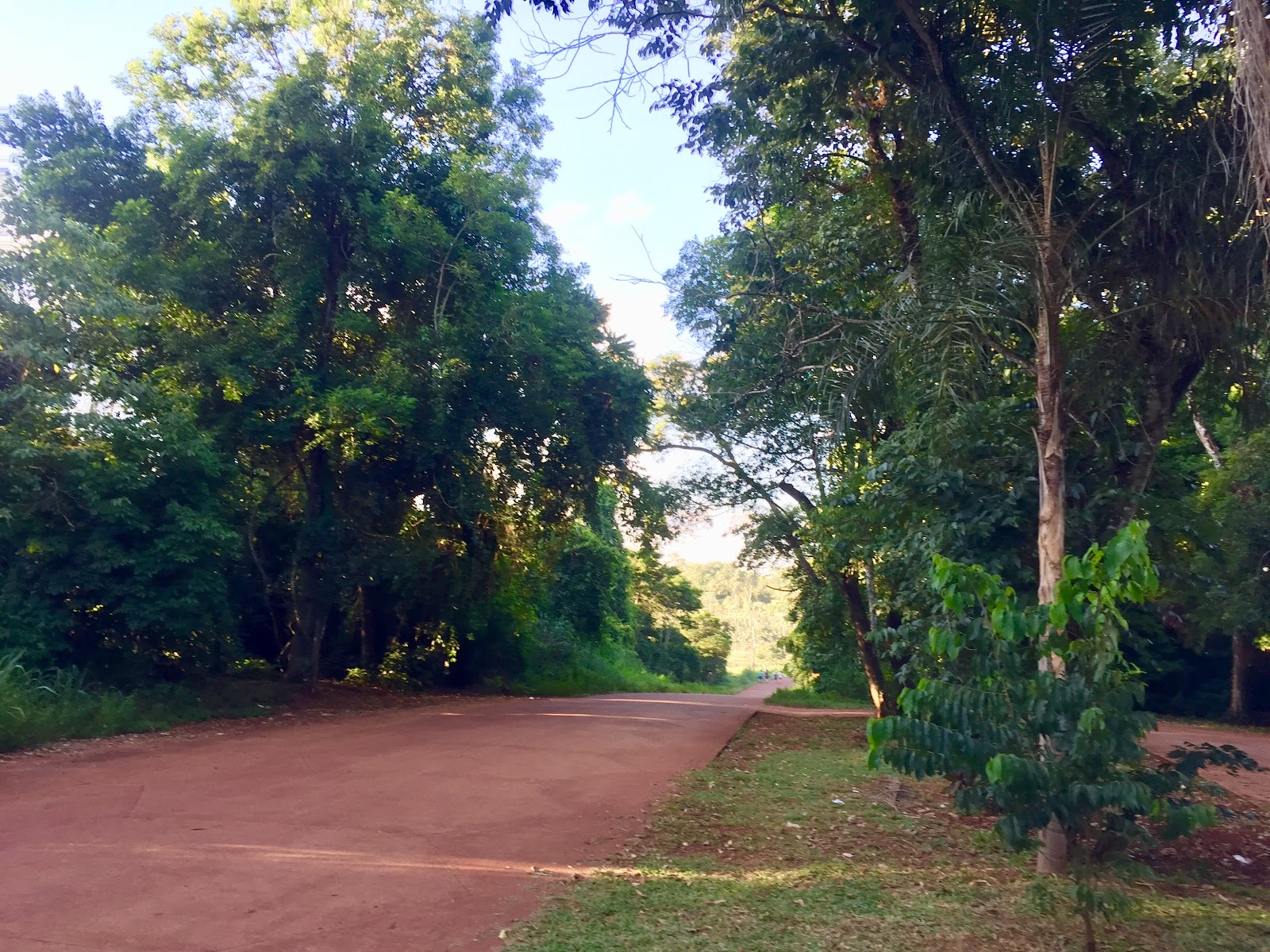 Selva Iryapú Reserve