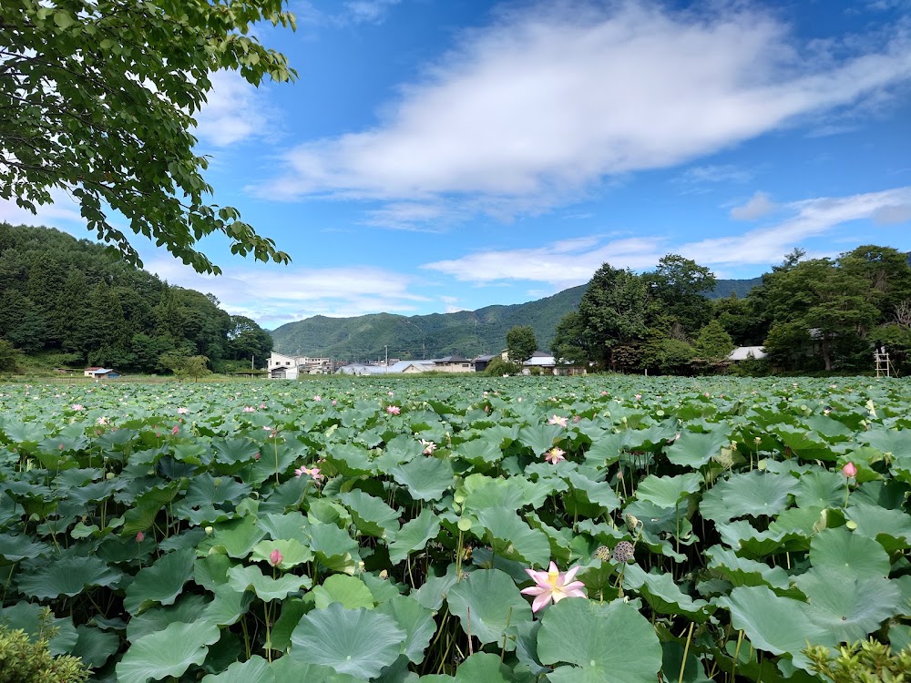 Misogi Pond