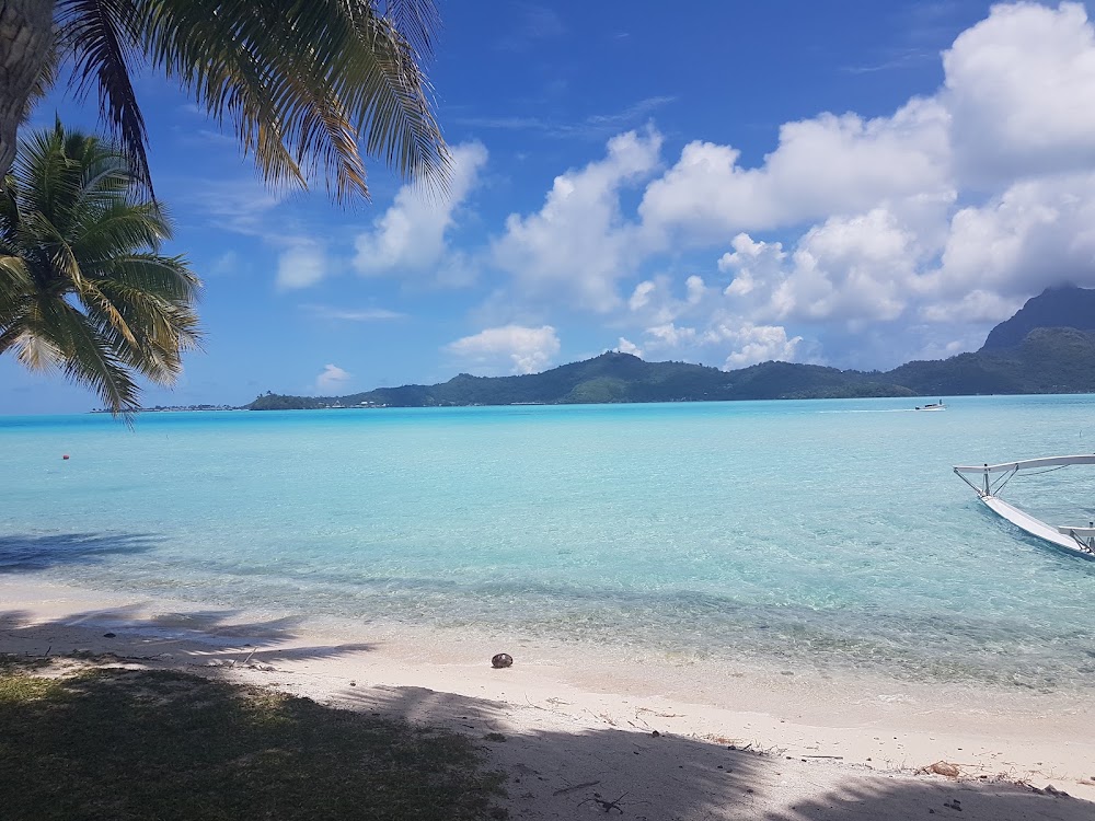 Motu Piti A'au