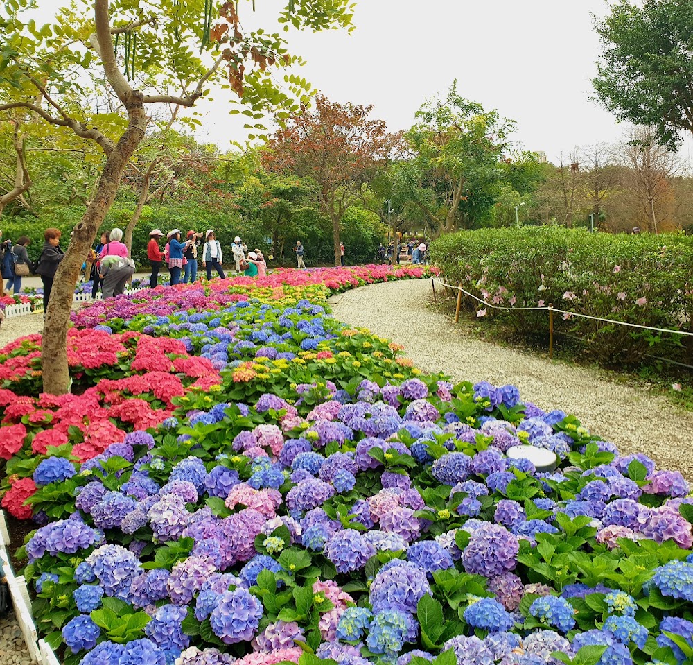Daan Forest Park photo 3