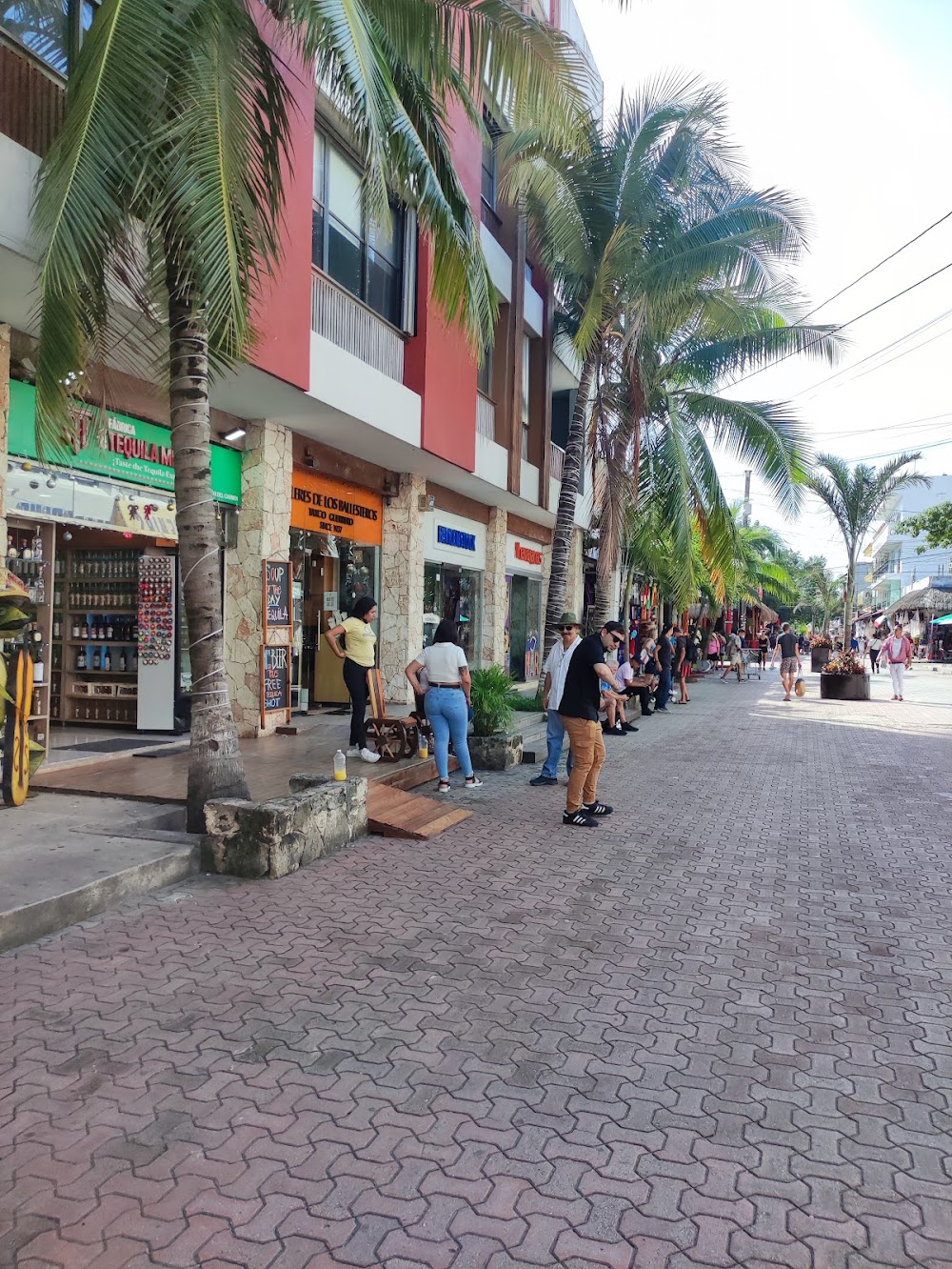 Quinta Avenida