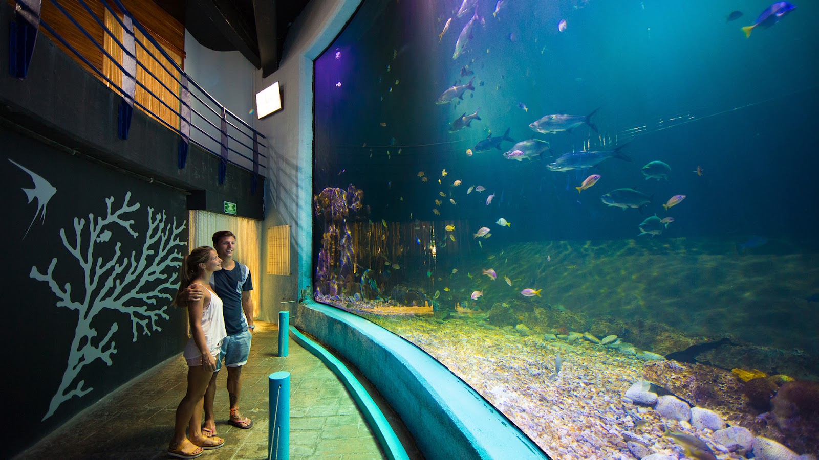Cancun Interactive Aquarium
