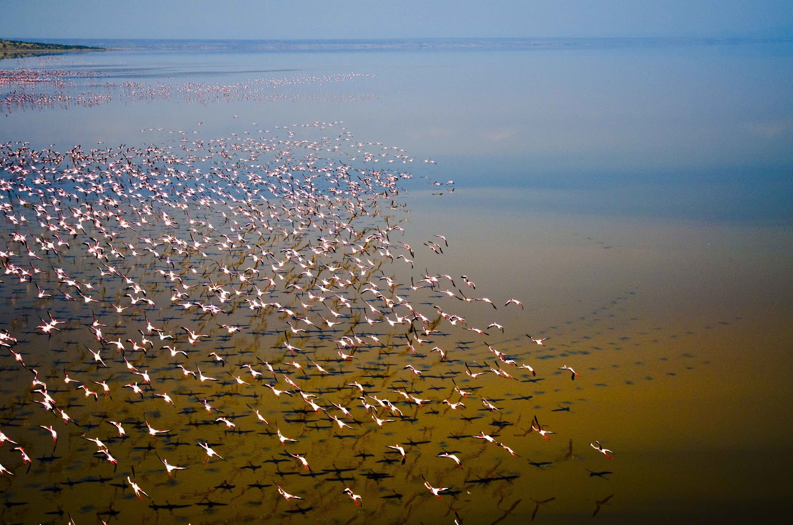Lake Natron photo 3