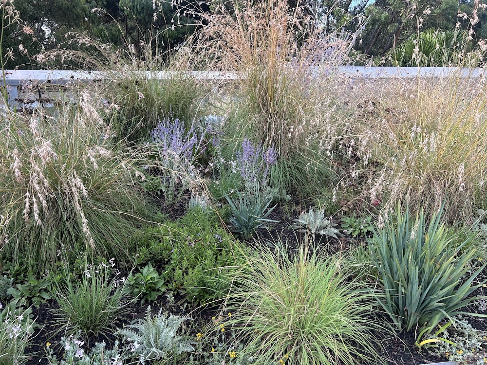 Fed Square’s Test Garden