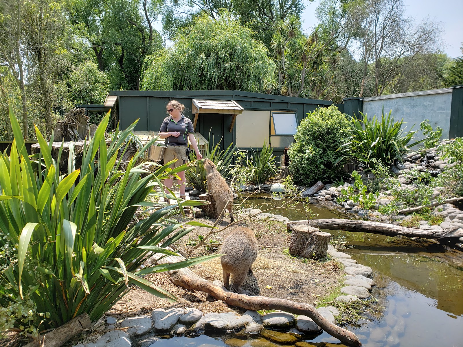 Willowbank Wildlife Reserve