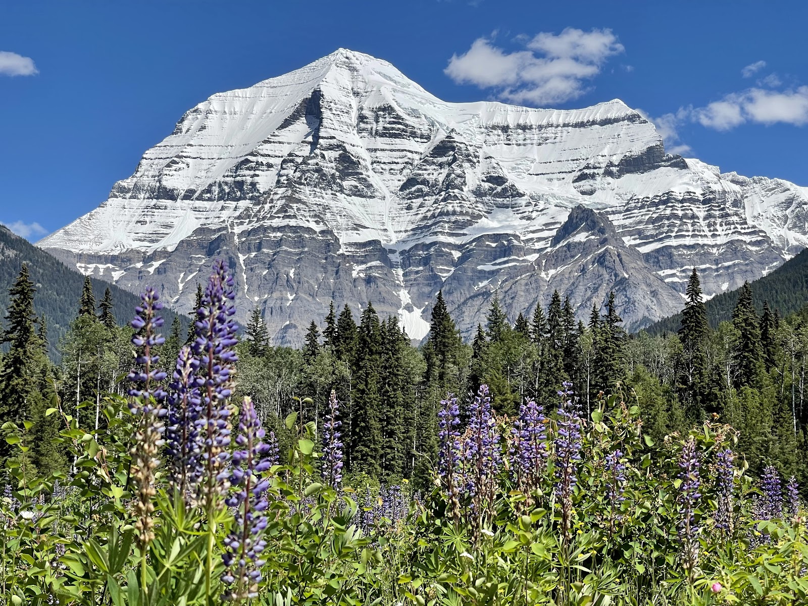 Mount Robson Provincial Park (near Jasper)