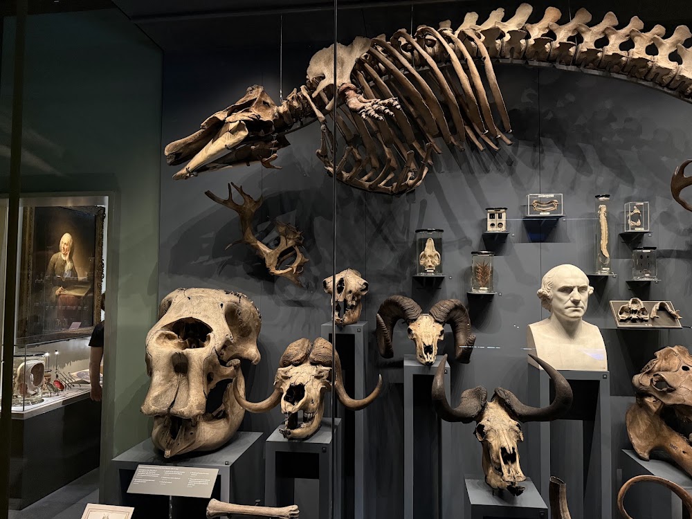 The Hunterian Museum photo 3