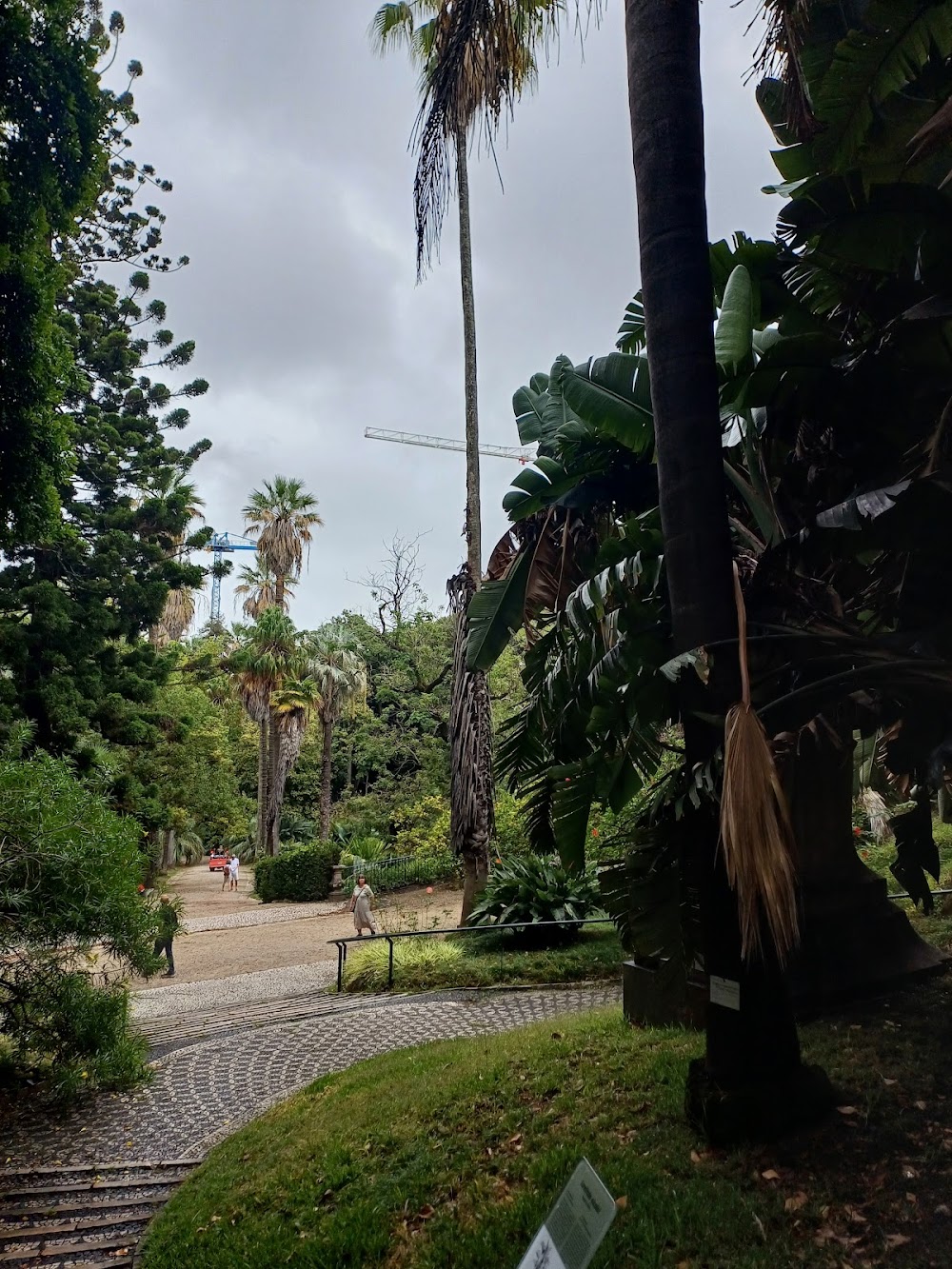 Jardim Botânico da Universidade de Lisboa photo 2