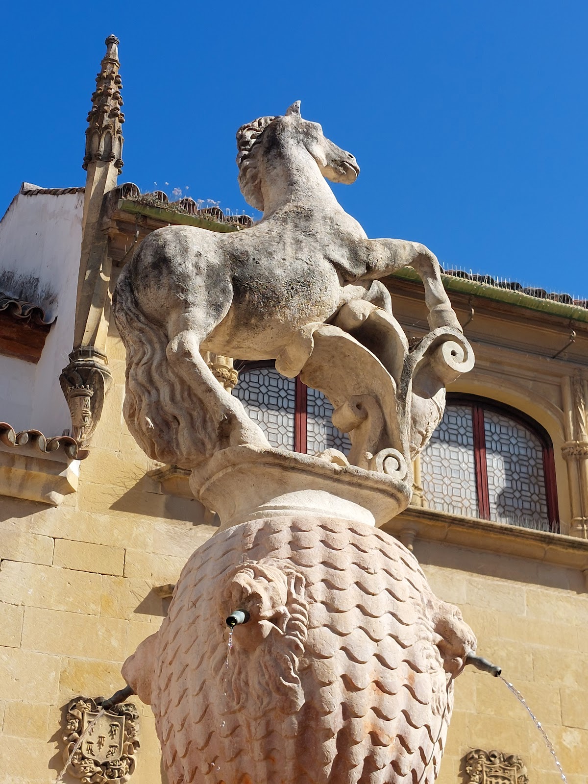 Plaza del Potro photo 3