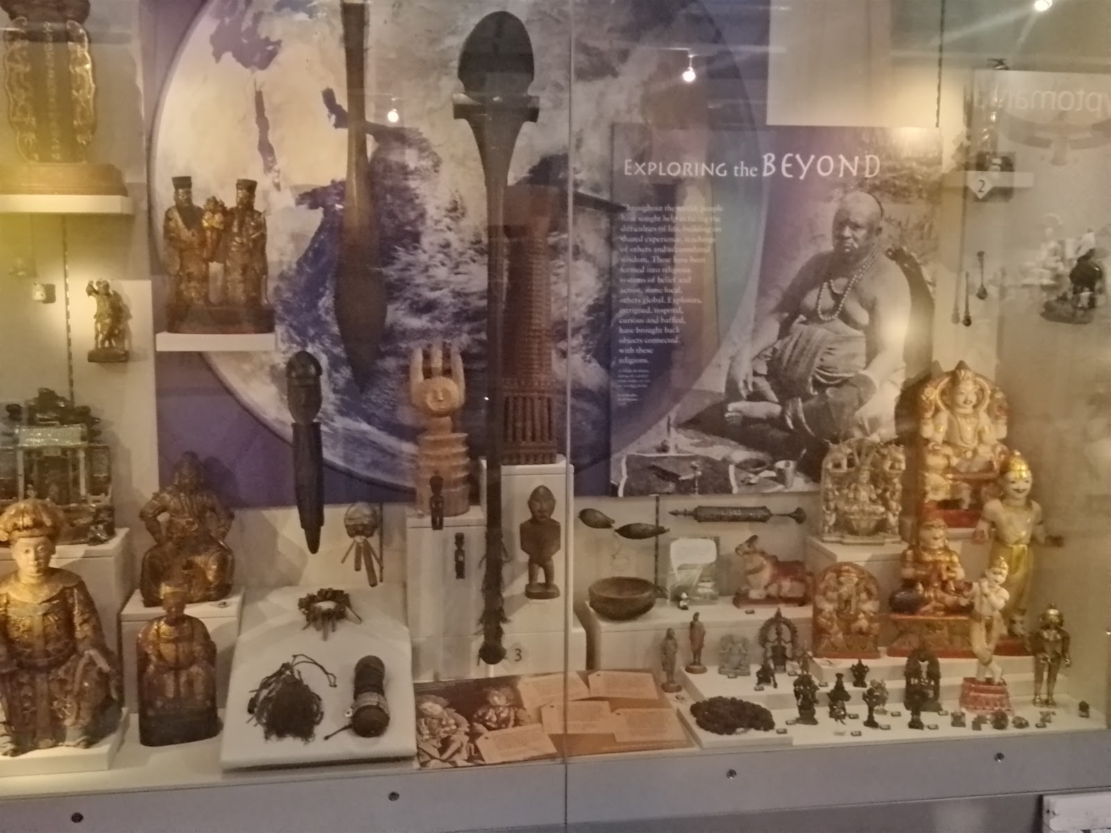 Torquay Museum photo 3
