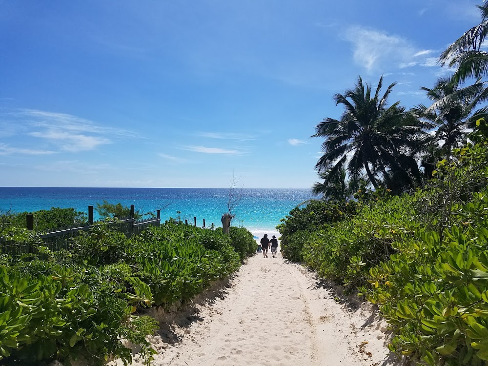 Pink Sands Beach photo 3