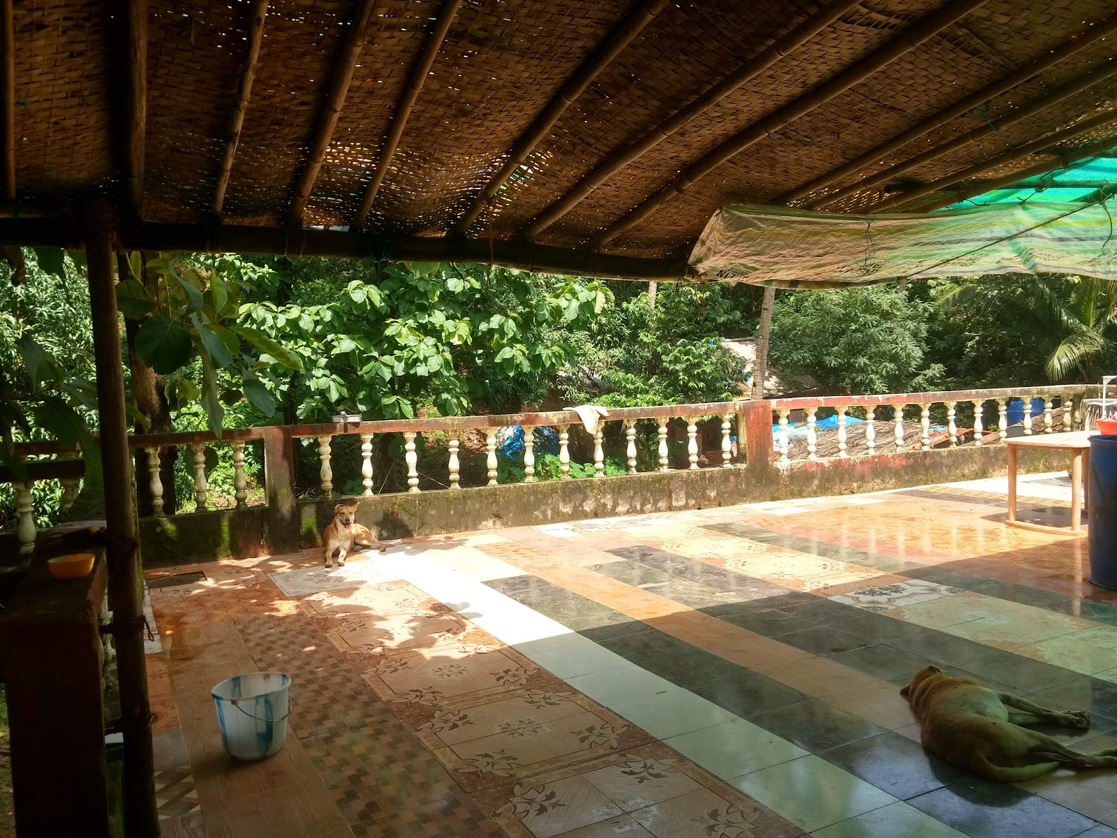 Agonda