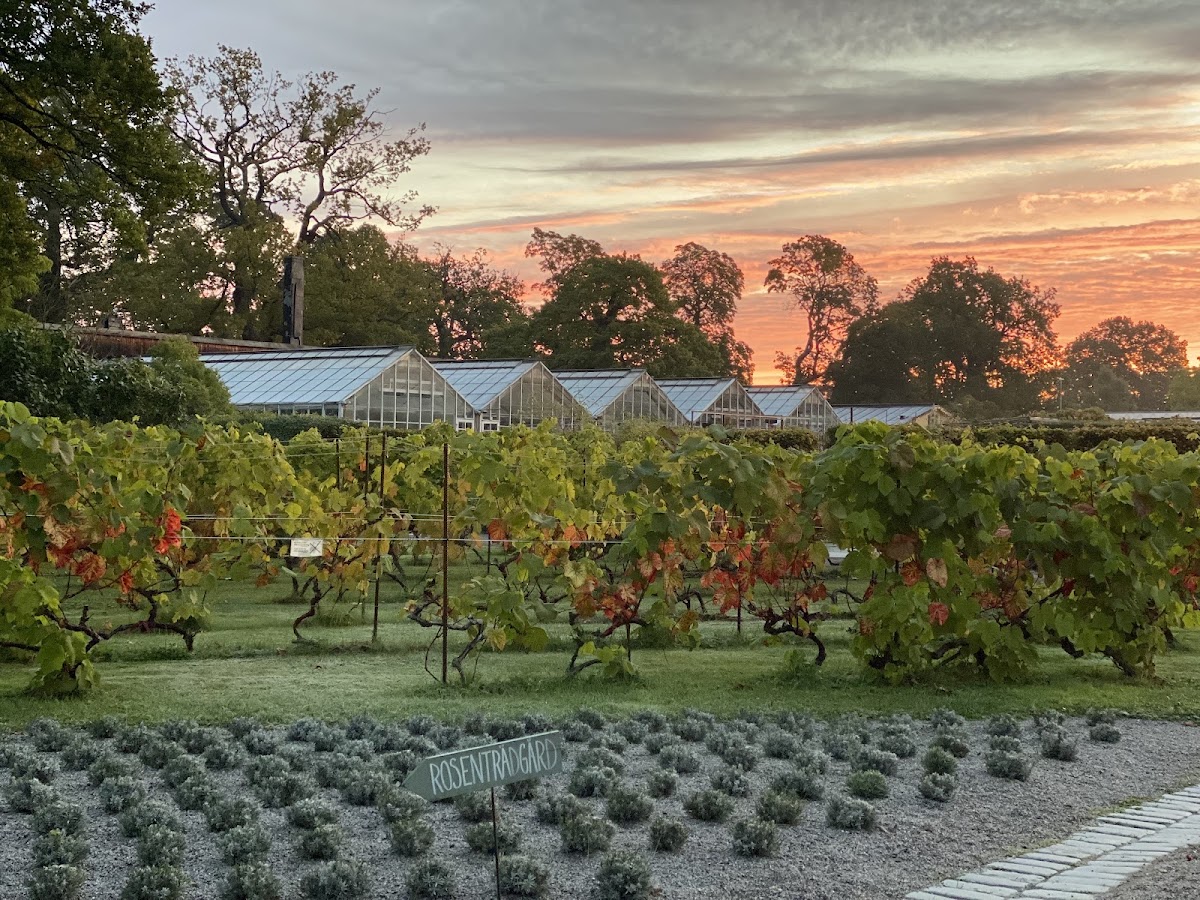 Rosendals Garden