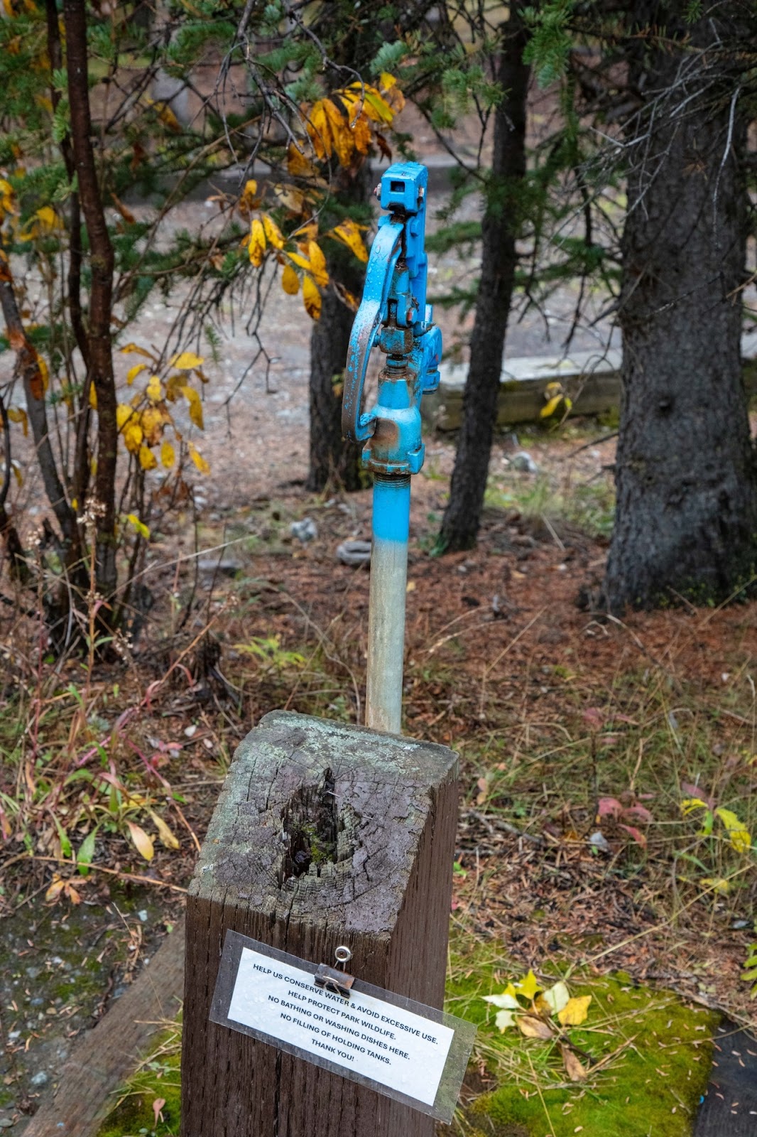 Savage River Campground