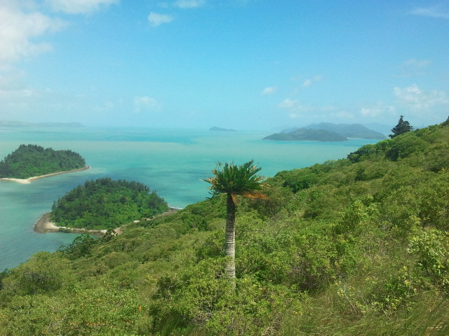 South Molle Island photo 2