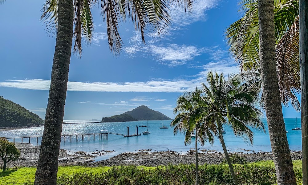 South Molle Island photo 3
