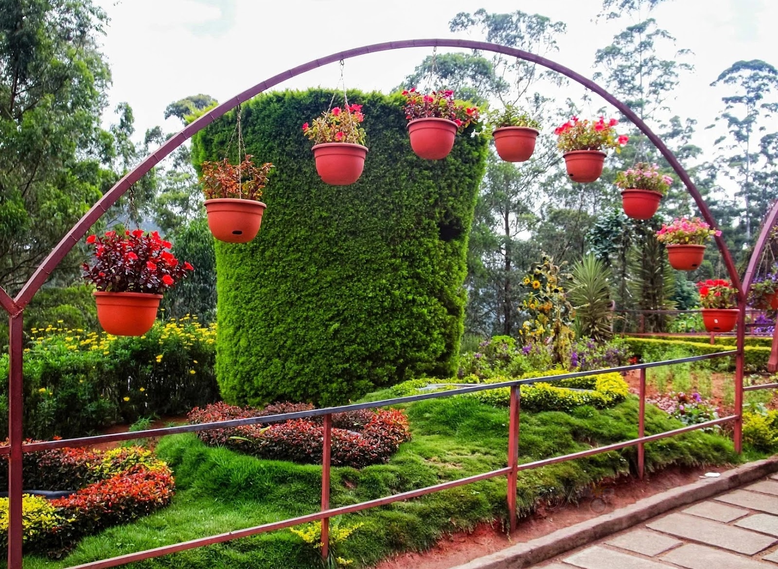 Munnar Rose Garden