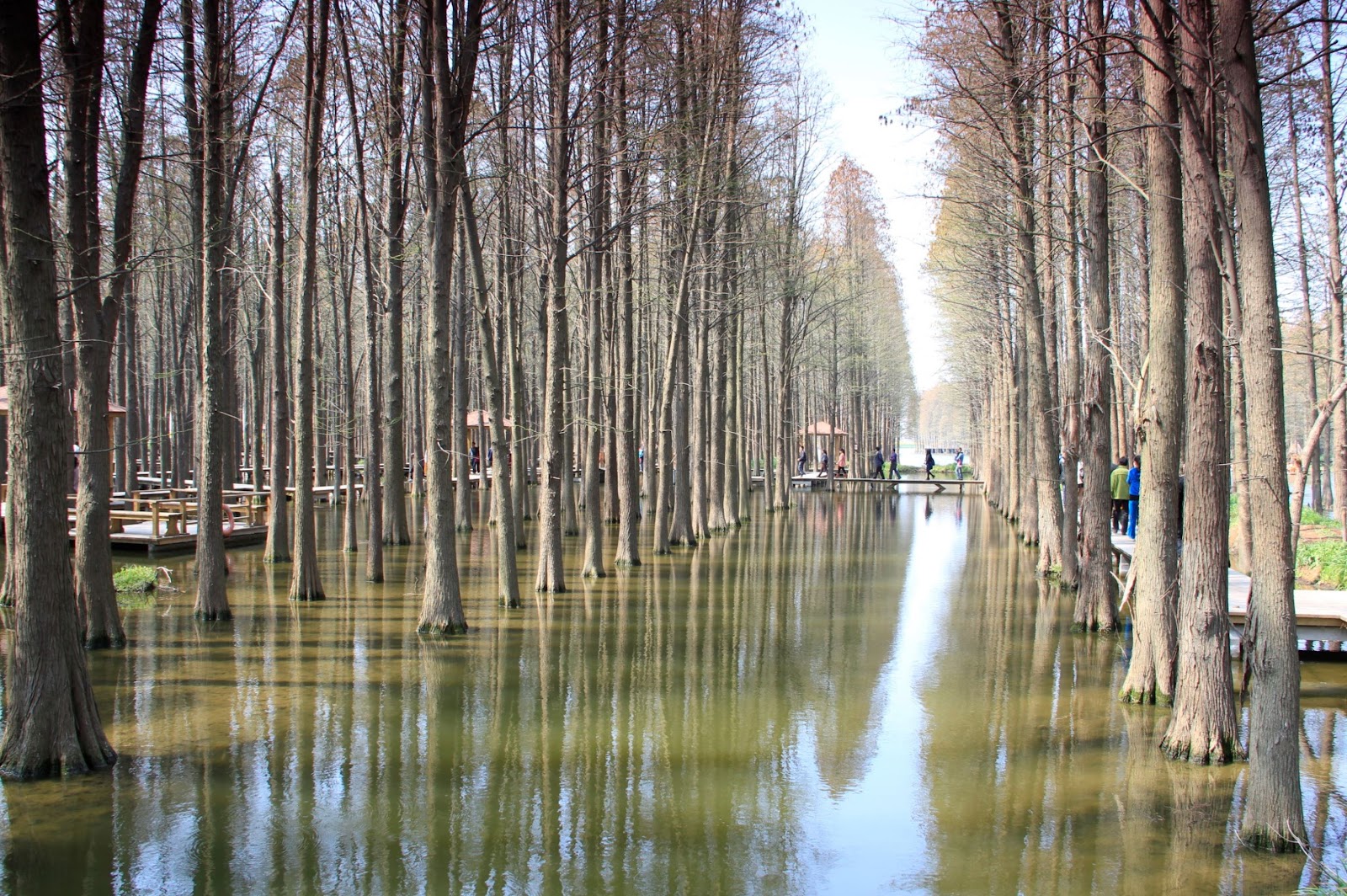 Ganzhou Xiangshan Forest Park