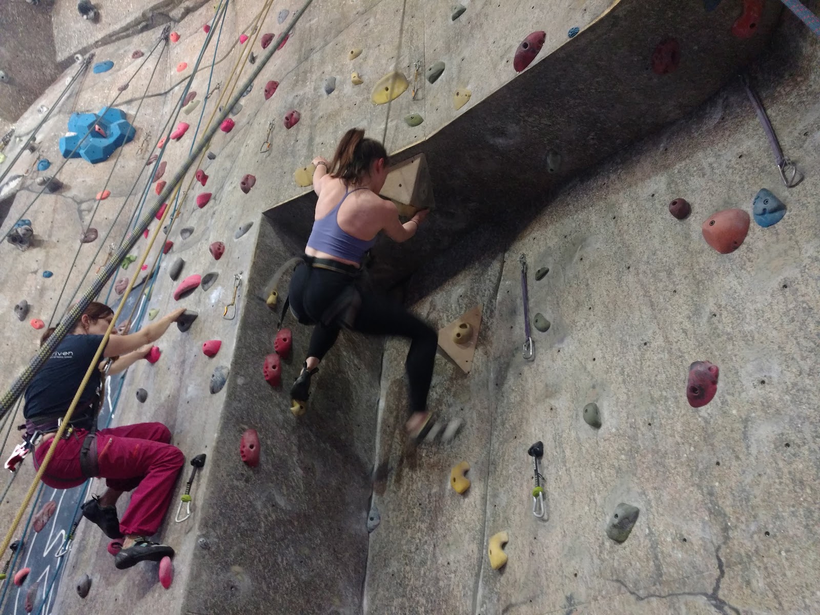 Basecamp Wanaka Climbing Gym photo 2