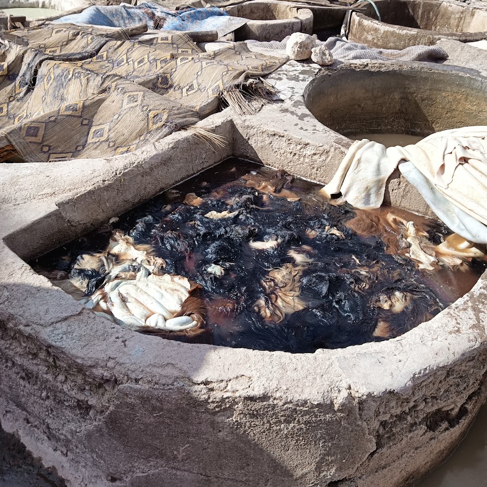 Tanneries photo 3