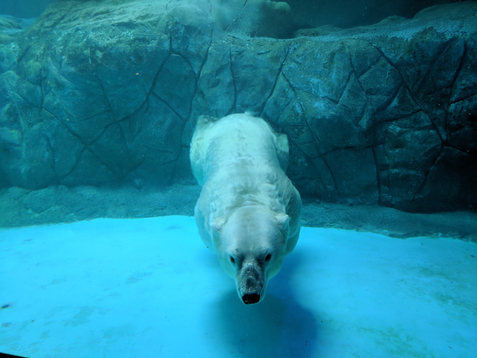 São Paulo Aquarium
