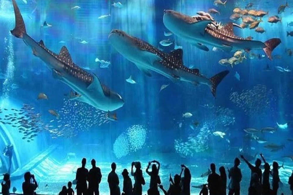 Hurghada Grand Aquarium photo 2