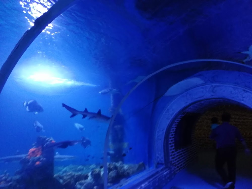 Hurghada Grand Aquarium photo 3