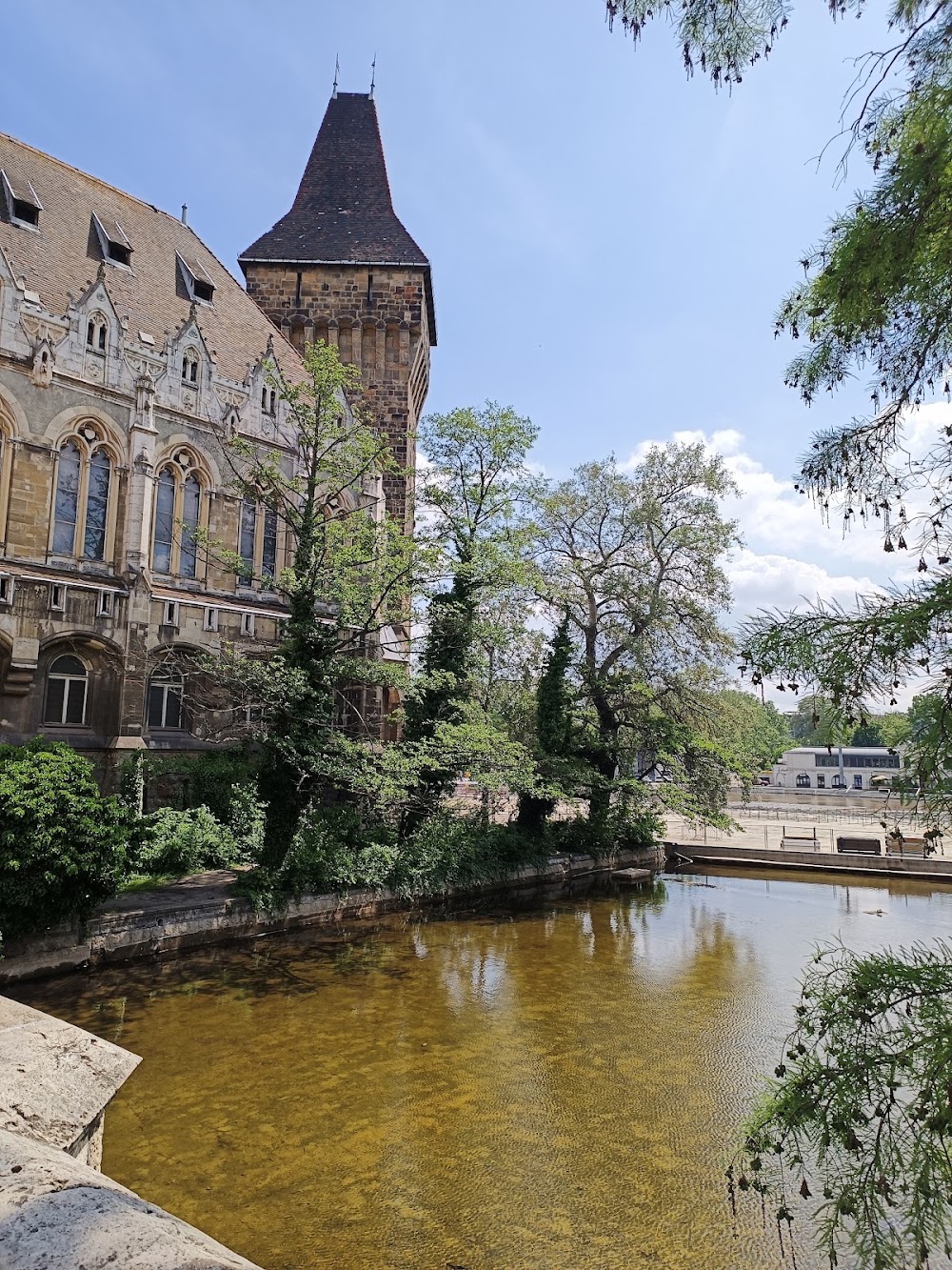 City Park