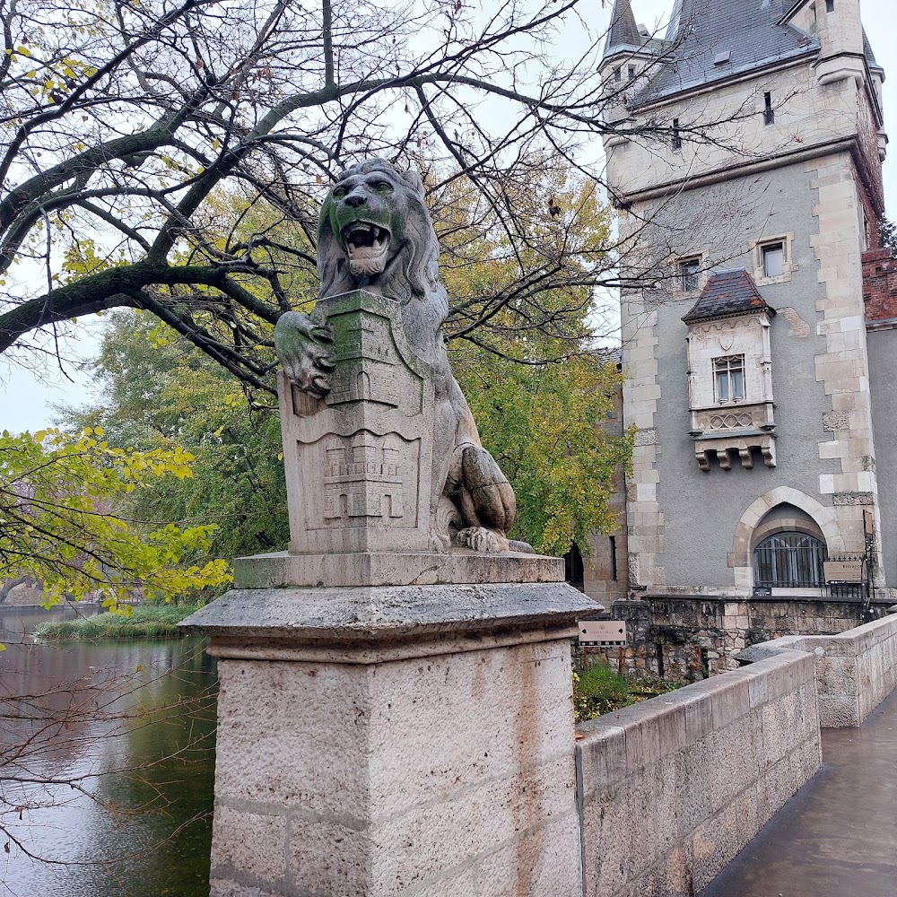 City Park photo 2