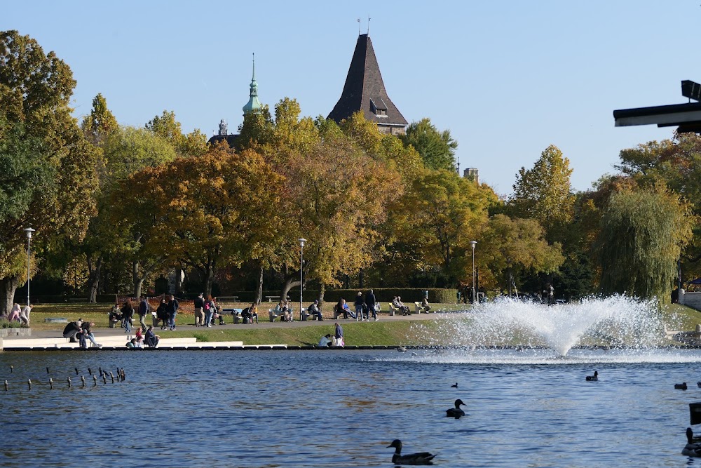 City Park photo 3