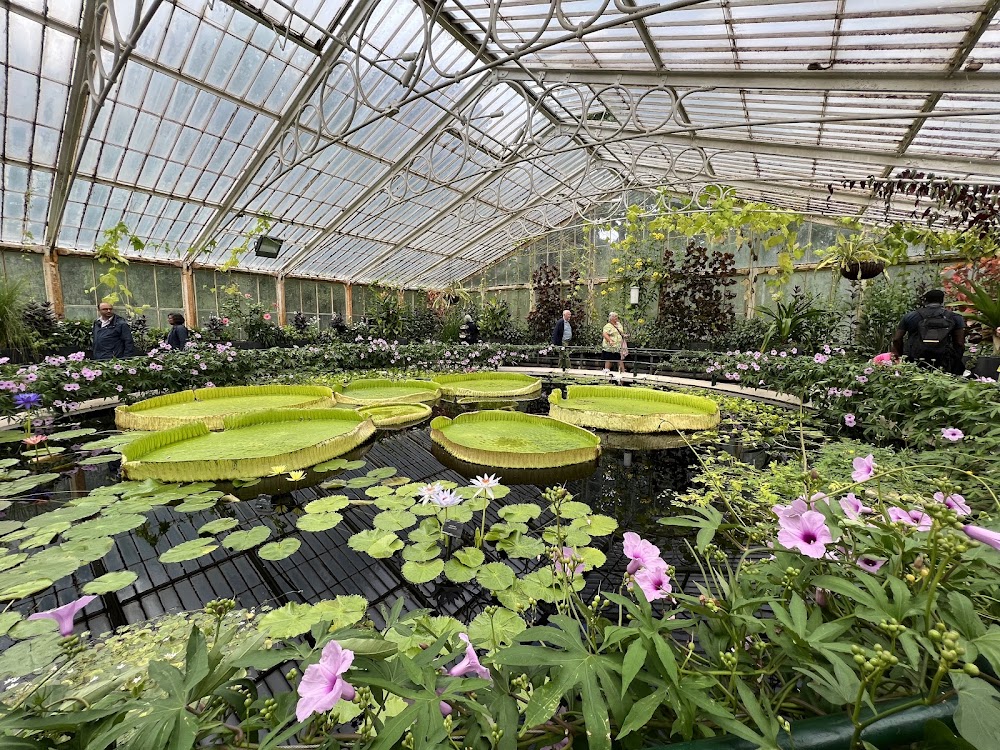 Kew Gardens photo 3