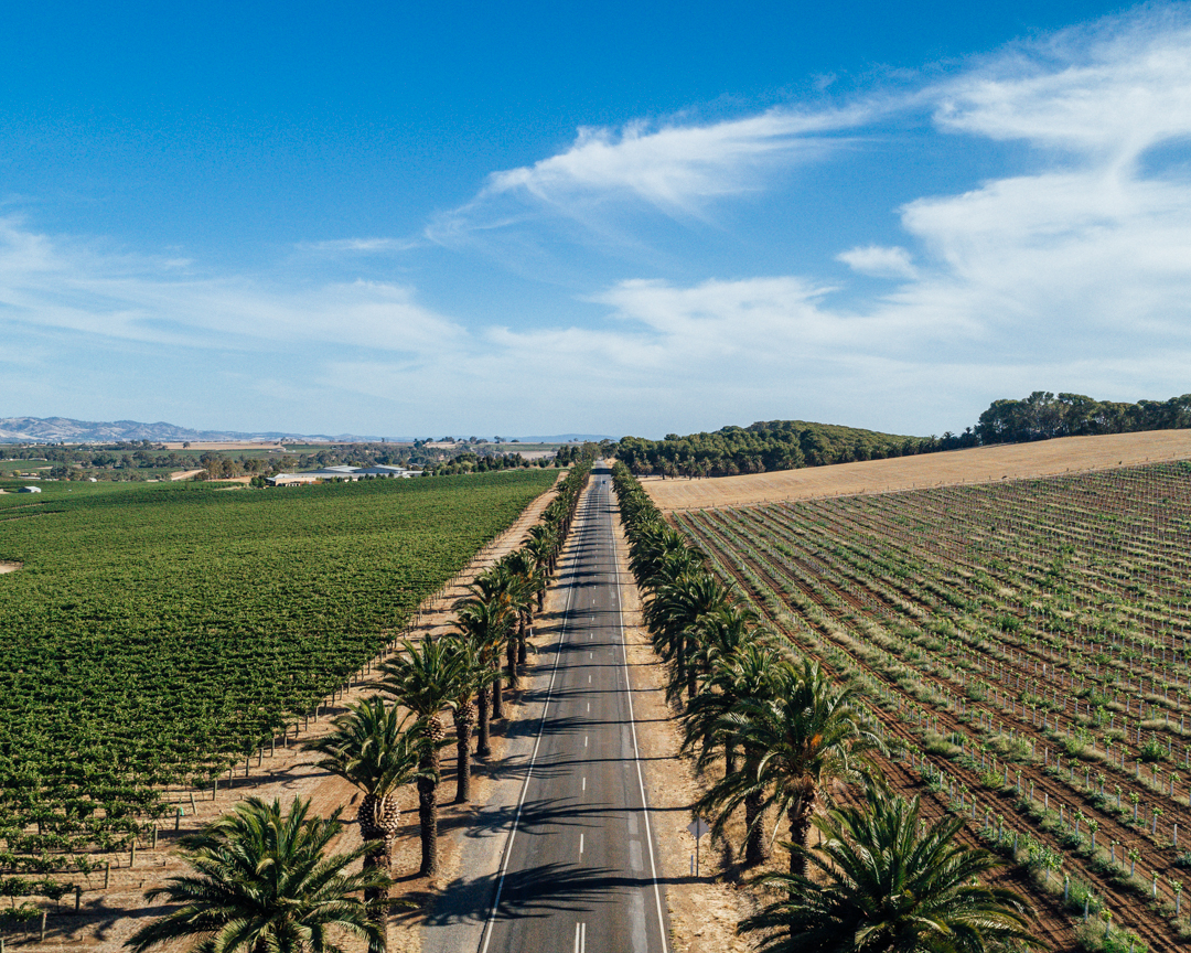 Barossa Valley