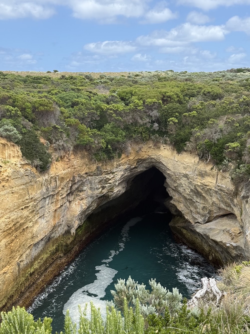 The Blowhole photo 3