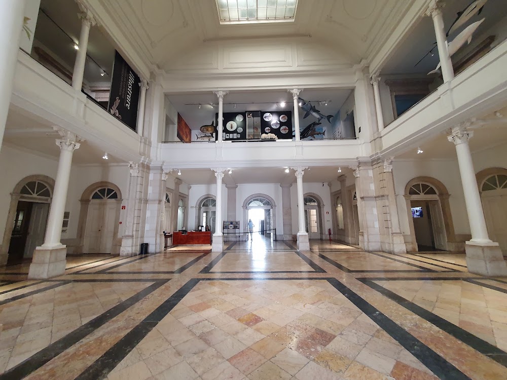 Museu Nacional de História Natural e da Ciência photo 2