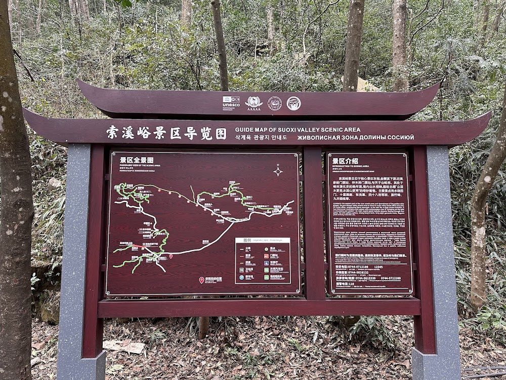 Yangjiajie Scenic Area photo 3