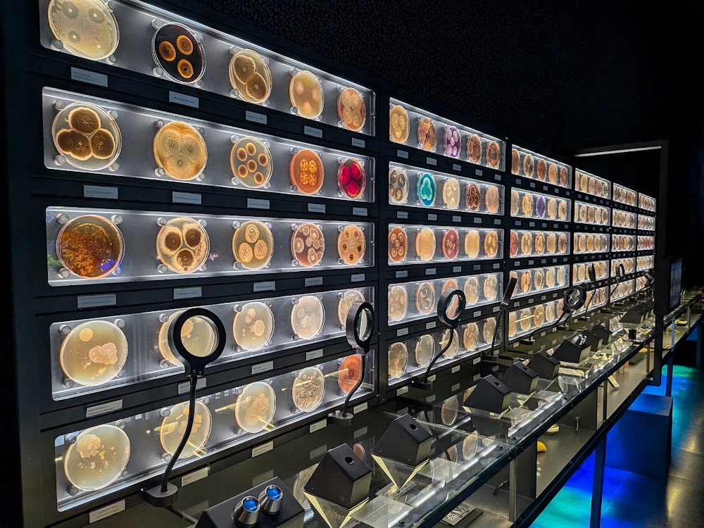 Micropia photo 2