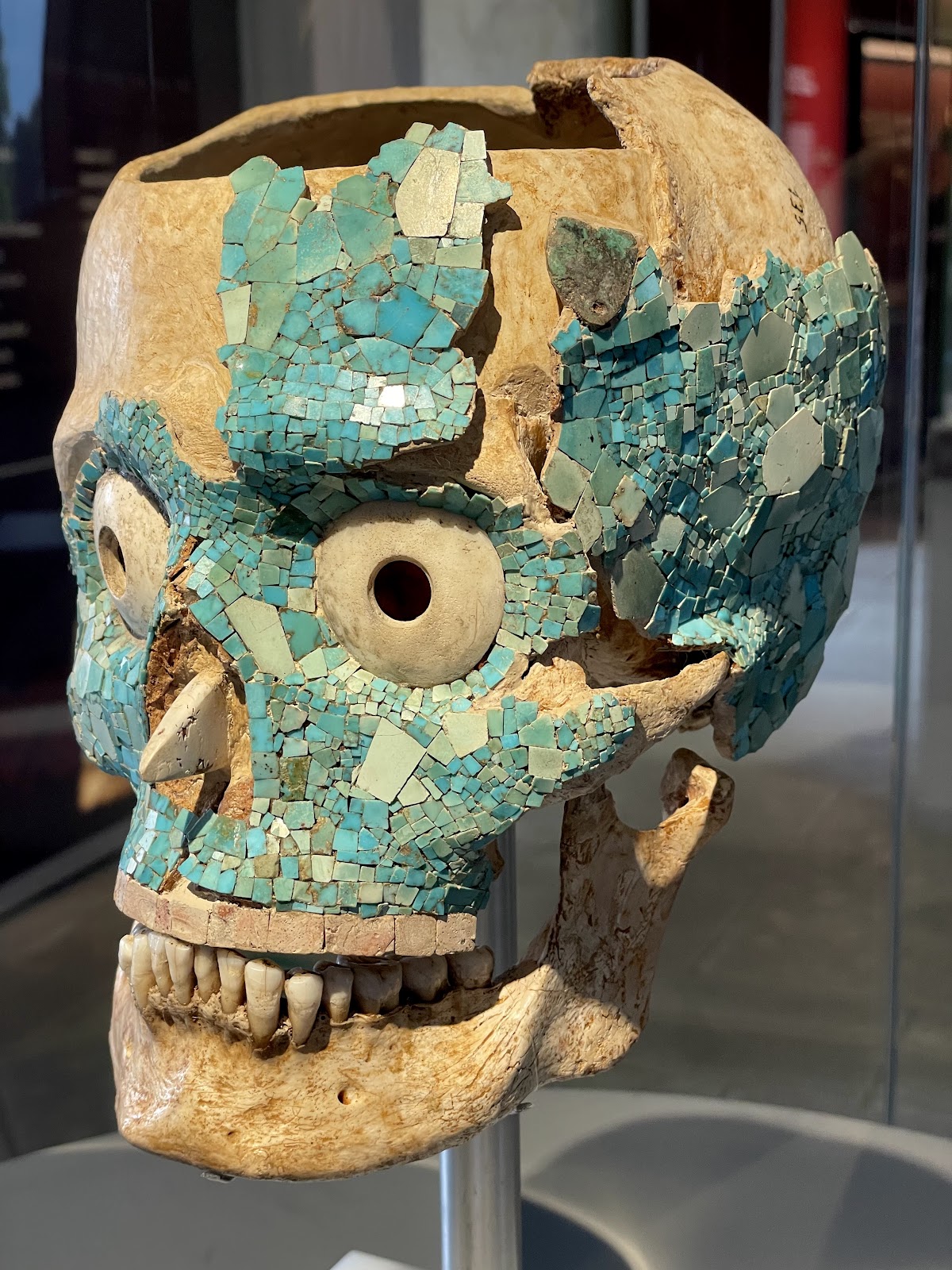 Museum of Cultures of Oaxaca