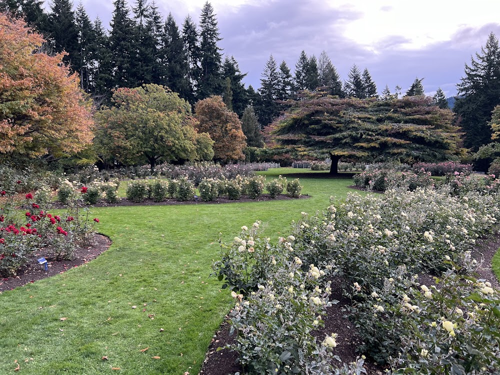 Rose Gardens