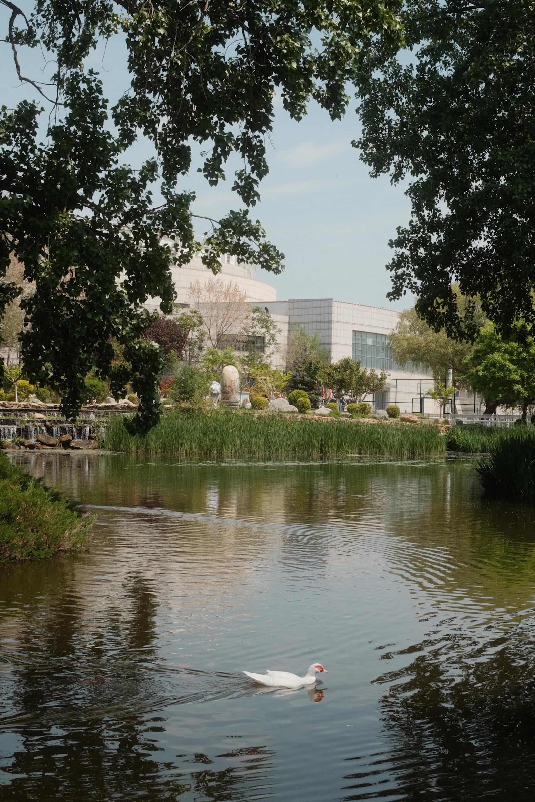 Dalian Maritime University
