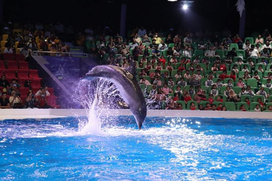 Dubai Dolphinarium photo 2