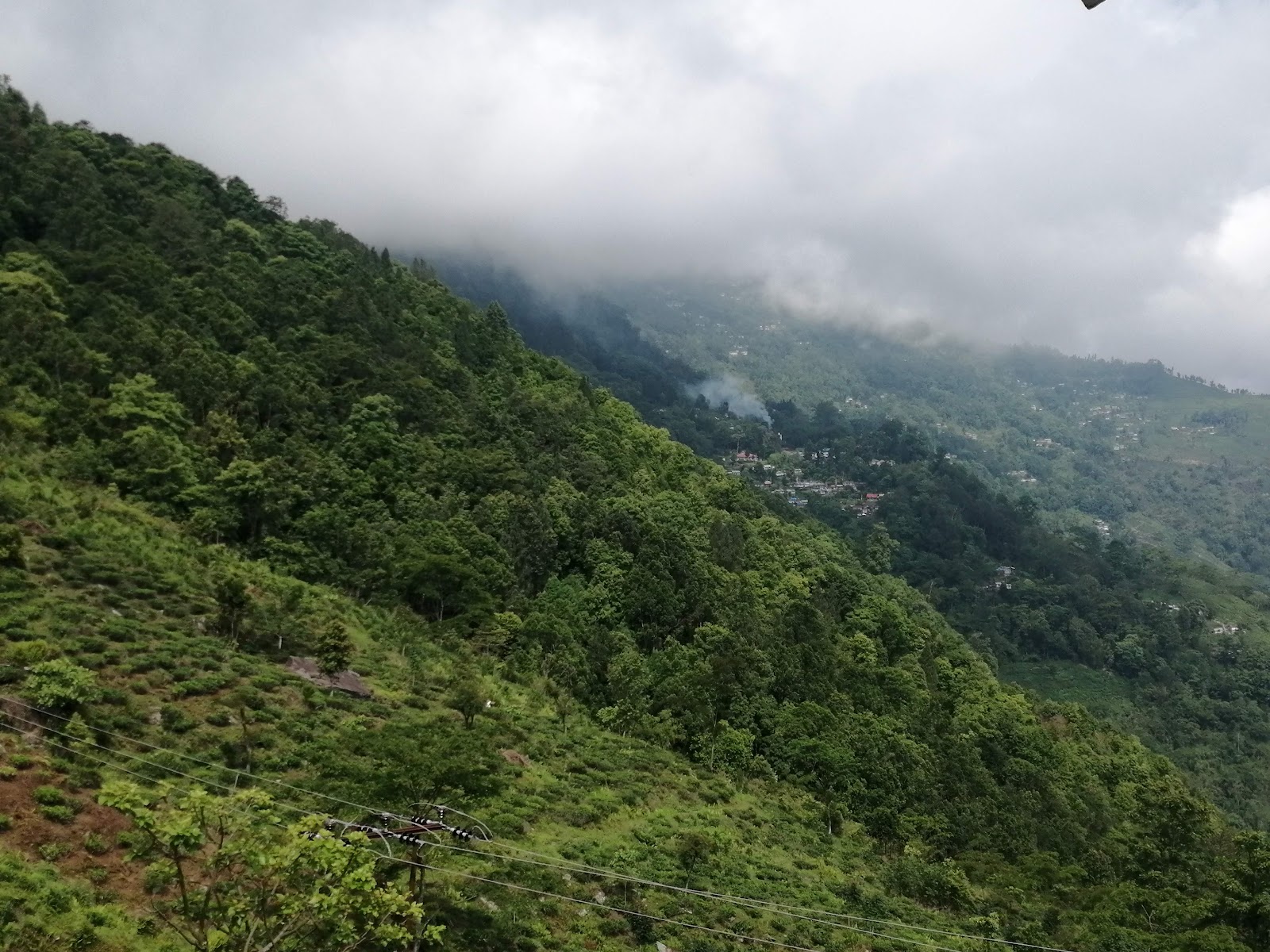 Peshok Tea estate
