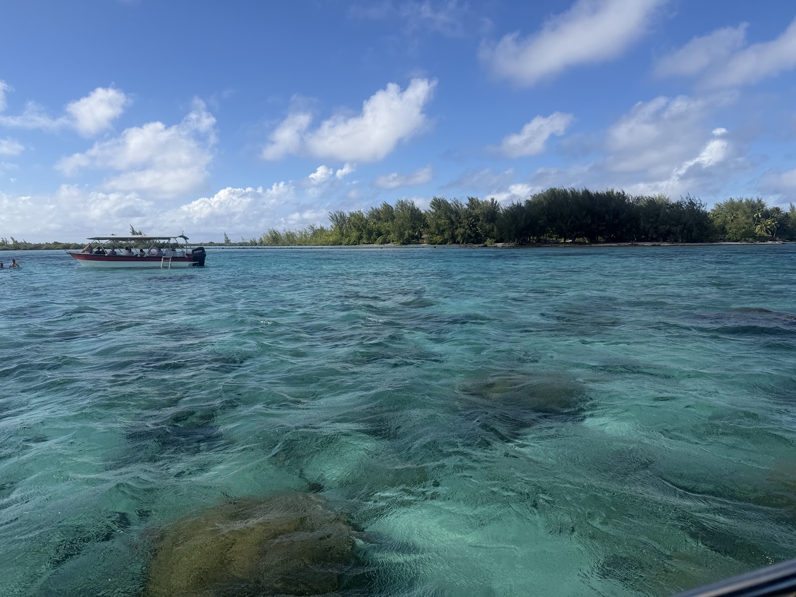 Coral Gardens