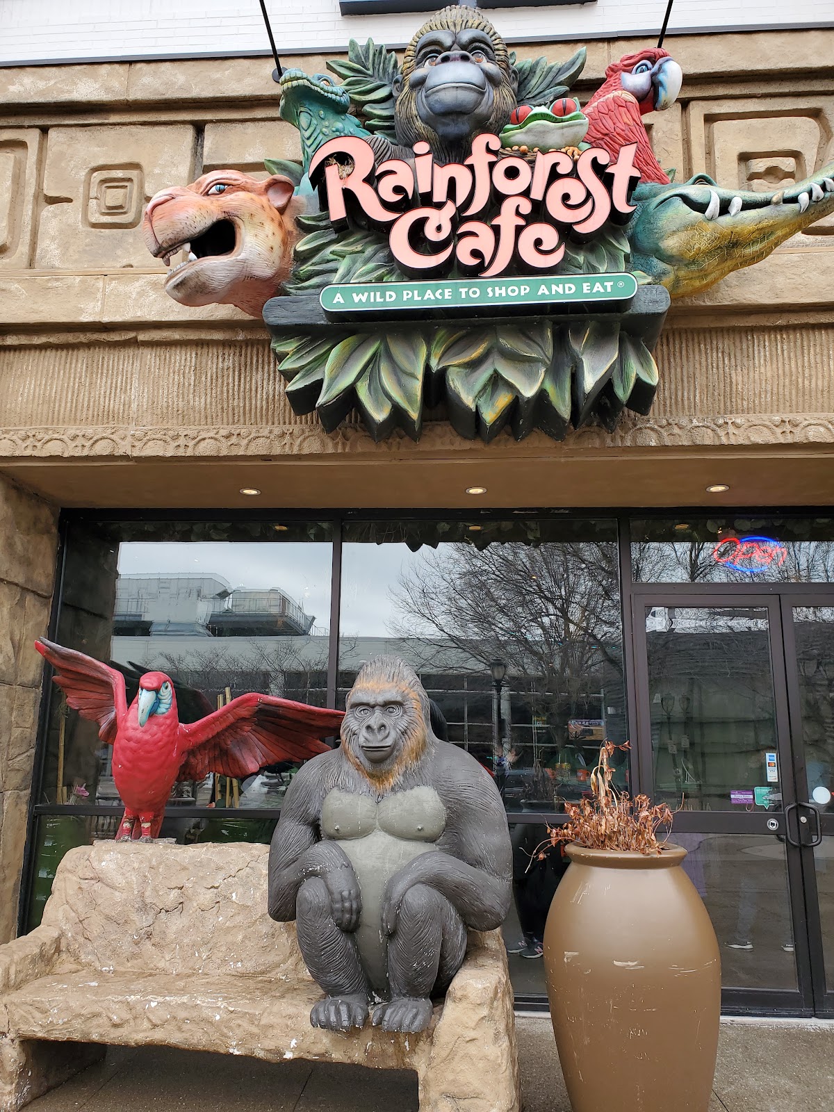 Rainforest Cafe