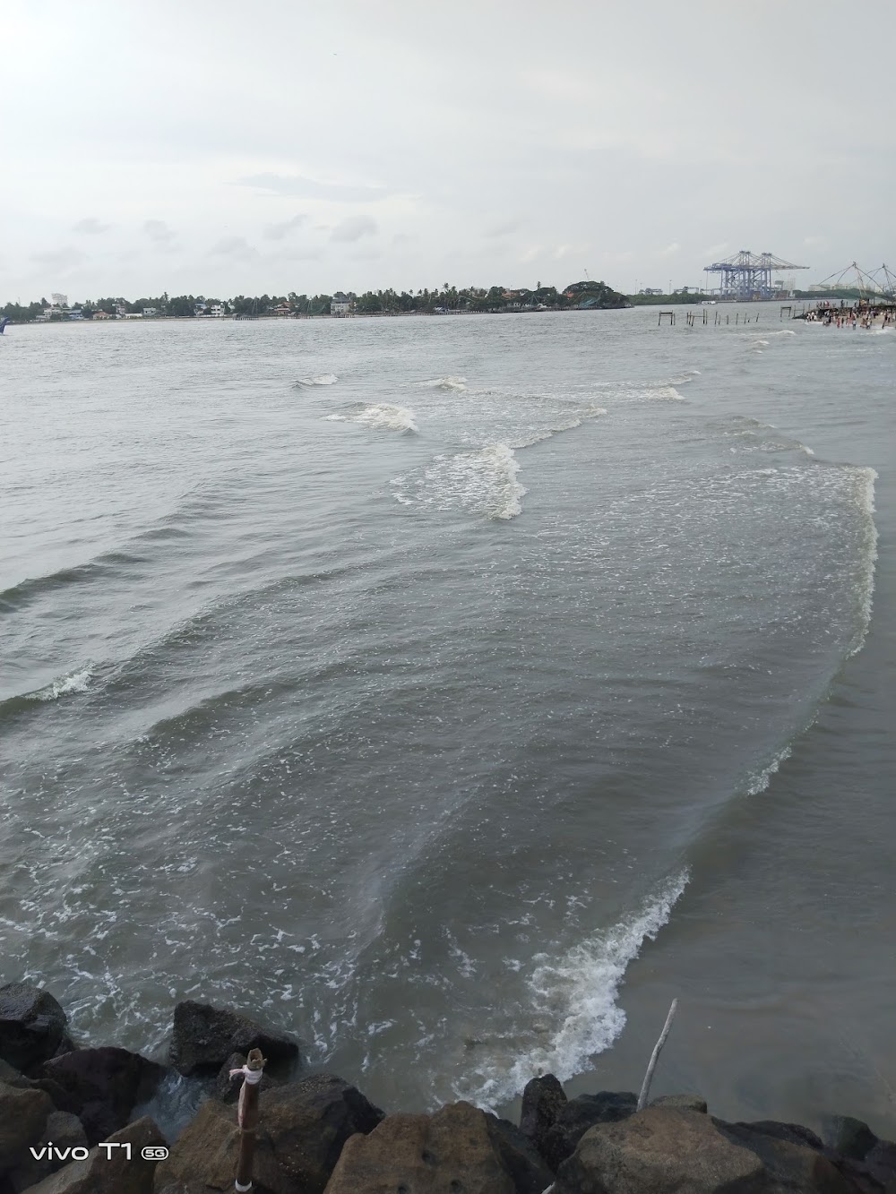 Fort Kochi Walking Street photo 3
