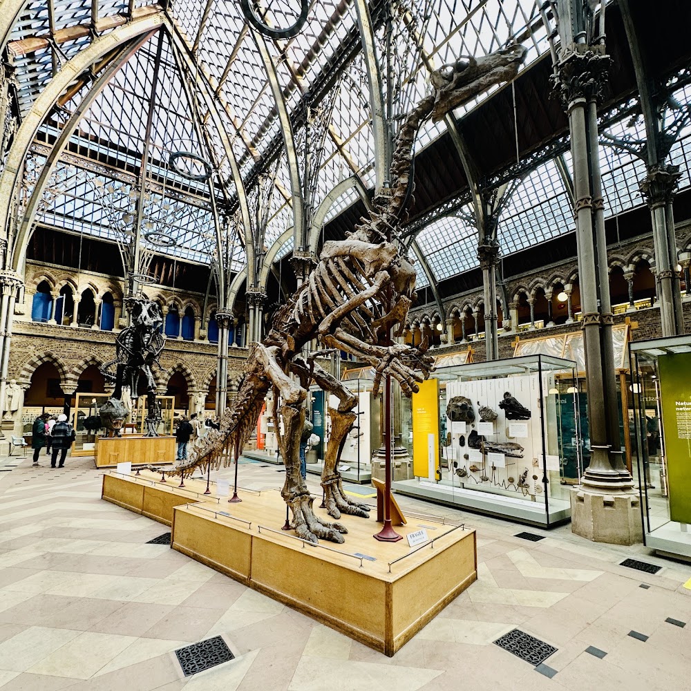 Pitt Rivers Museum photo 2